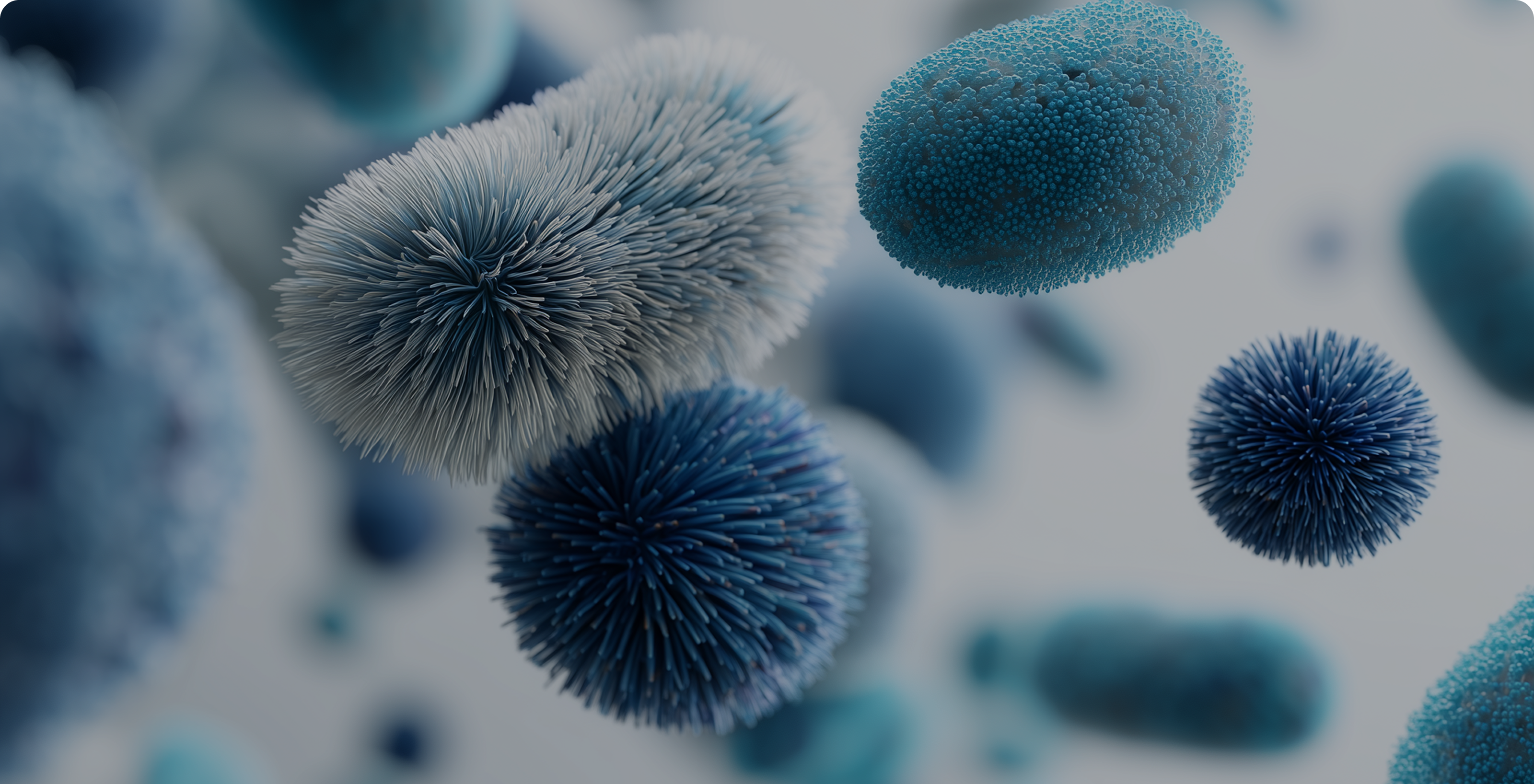 Gut Health Research