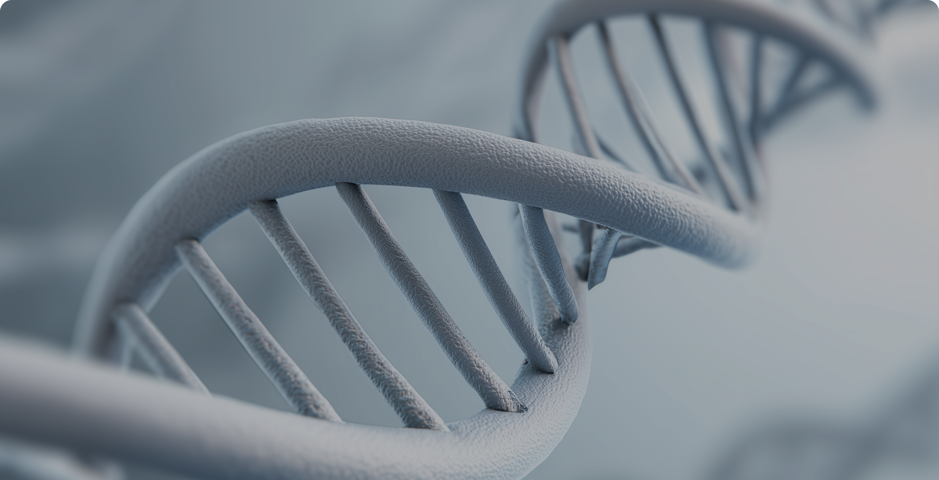 Longevity Research